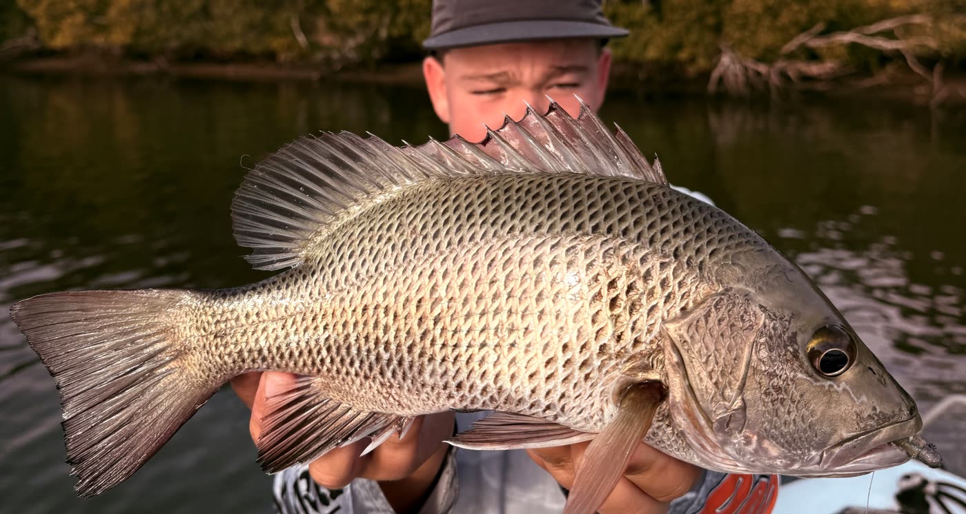 Max with a catch on the Gold Coast