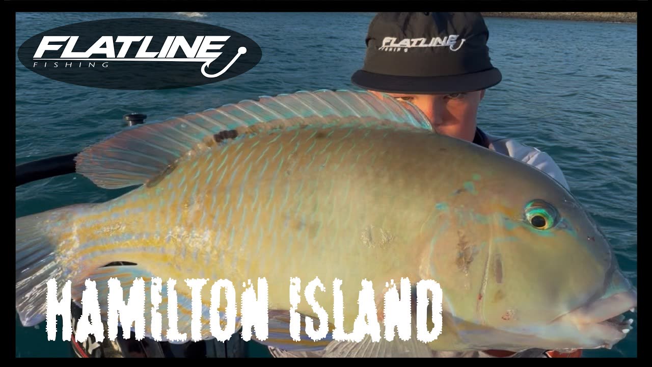 Hamilton Island Fishing Adventure