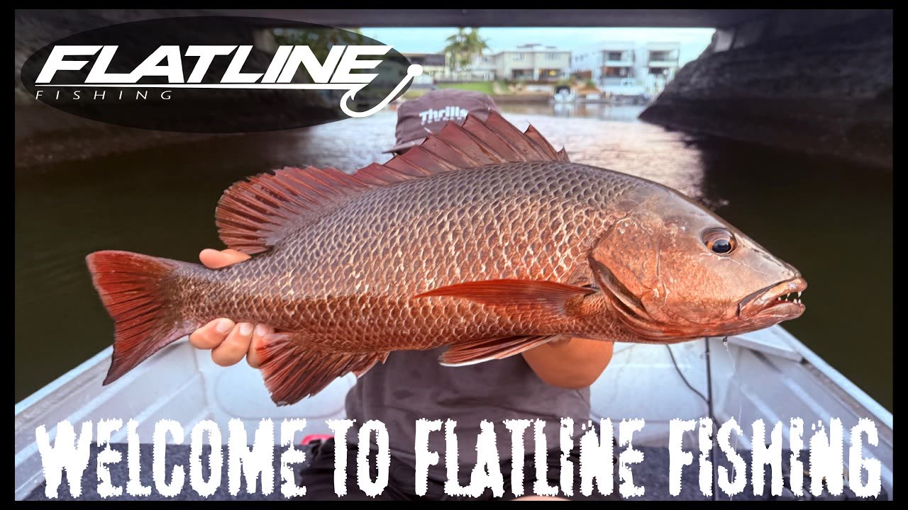 Welcome to Flatline Fishing